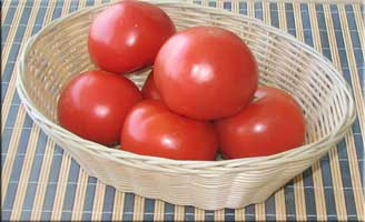 Dominican tomatoes