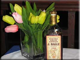 rum and tulips