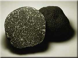 Prigord Black Truffle