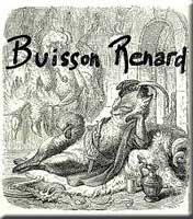 Buisson Renard