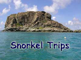 Snorkel Trips