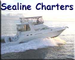 Sealine Charters