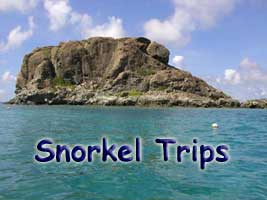 Snorkel trips