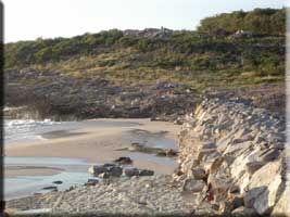 Shore Pointe's beach