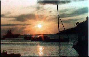 Island Harbour boats at sunset