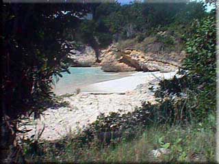 The private beach