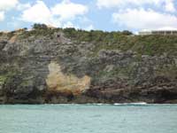 Bird Cliffs