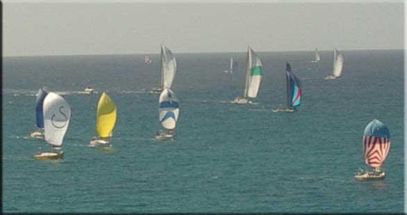 Spinnakers at Cupecoy