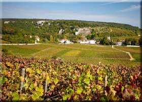 Chambolle-Musigny