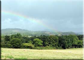 sheep and rainbow