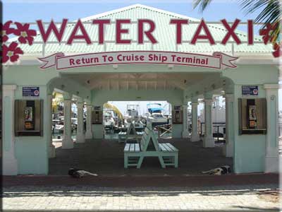 Water taxi terminal with dogs