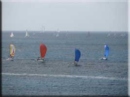 regatta