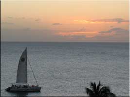 Tango sailing into the sunset