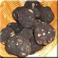 truffles