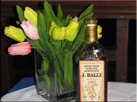 rum and tulips