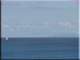 Sailboat race