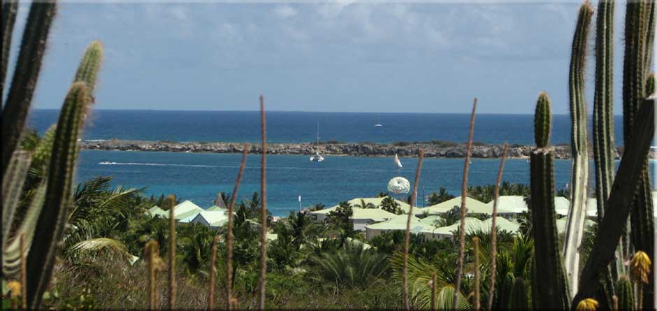 View from Rancho